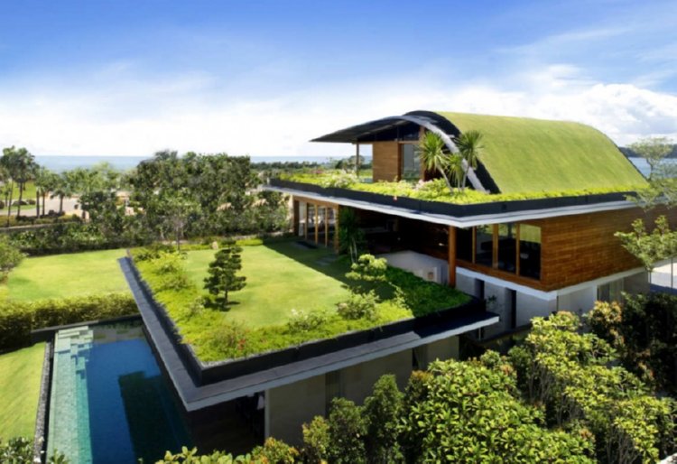 Green roofs, grass roofs, roofs with grass, roofs with plants, green roofing membranes